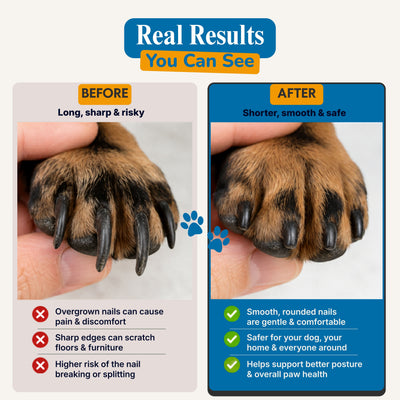 Furrlii™ Calm Groomer System