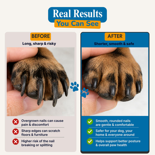 Furrlii™ Calm Groomer System