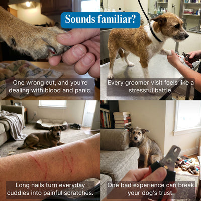 Furrlii™ Calm Groomer System